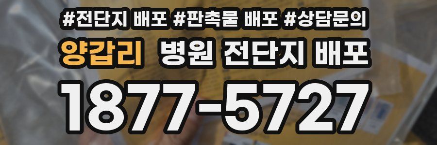 양갑리 병원 전단지 배포