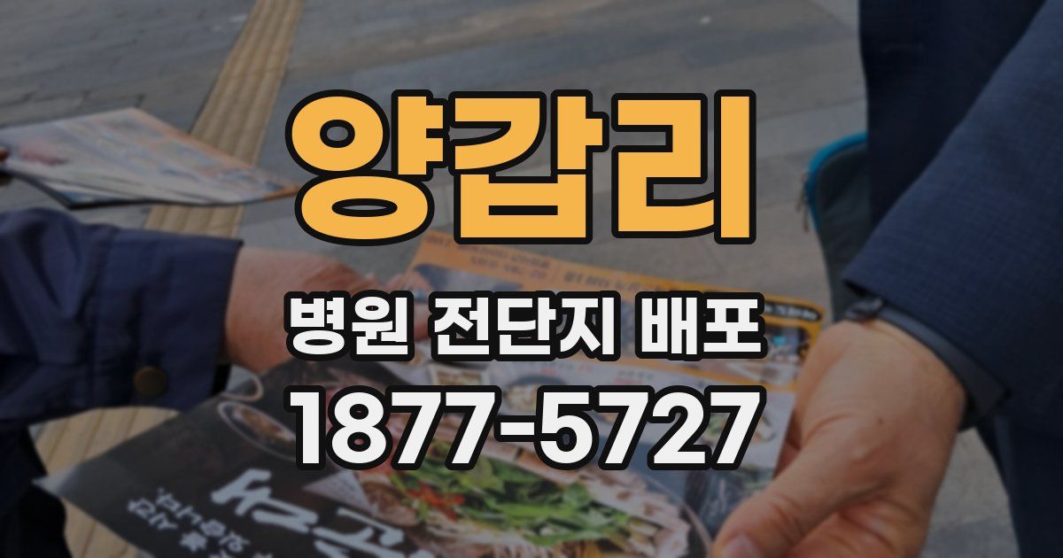 양갑리 병원 전단지 배포