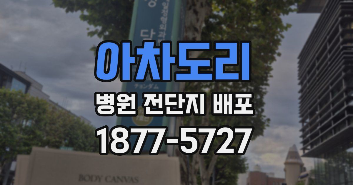 아차도리 병원 전단지 배포