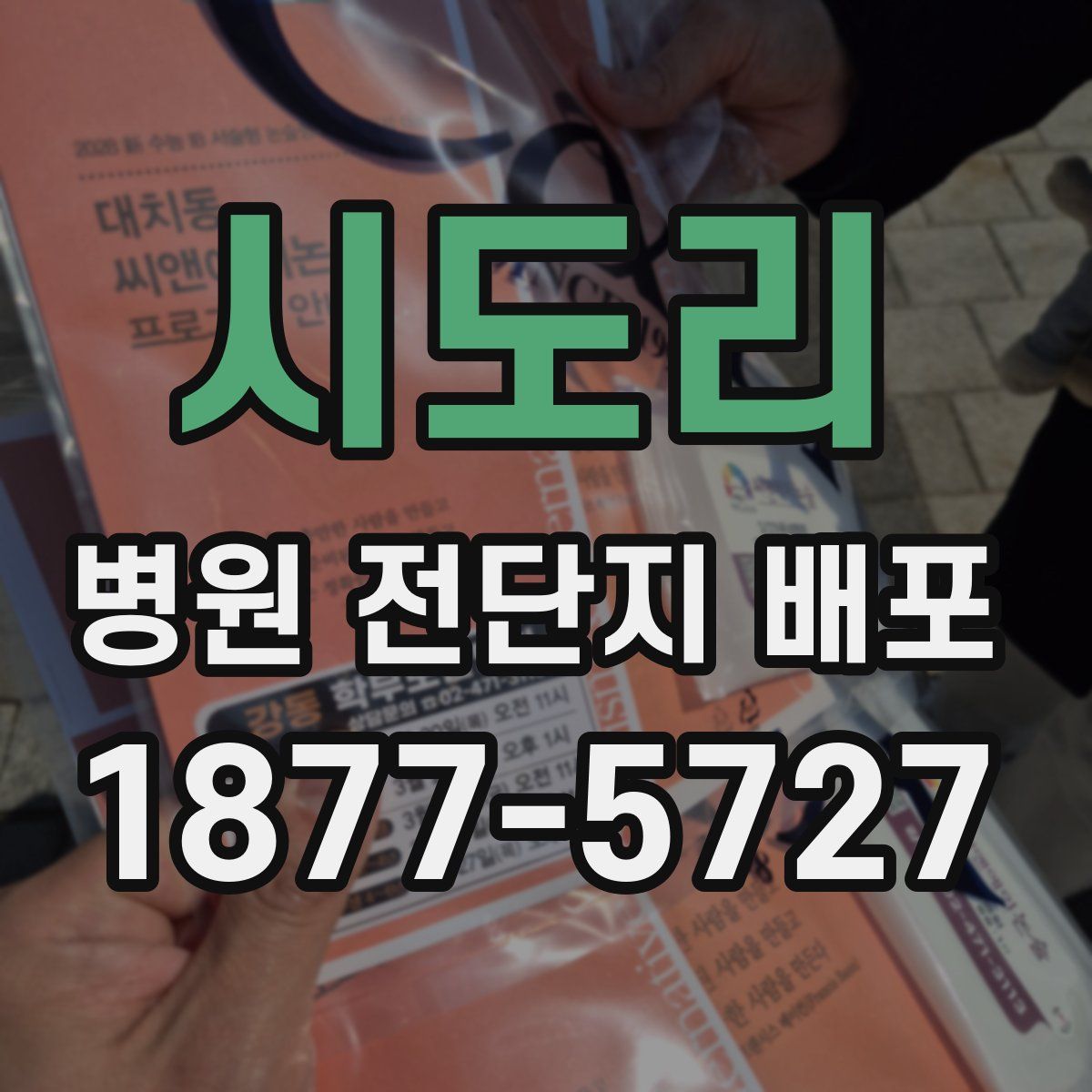 시도리 병원 전단지 배포