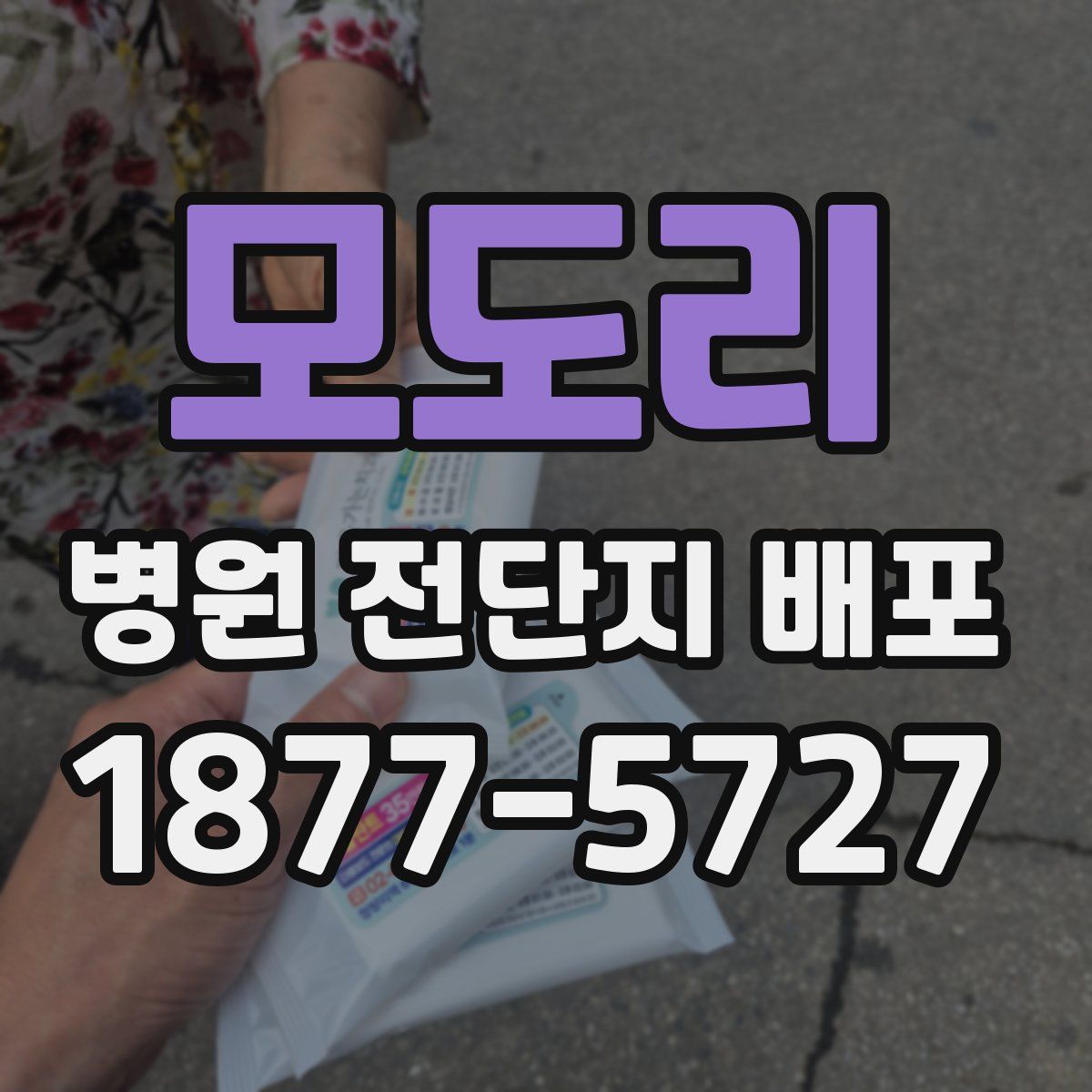 모도리 병원 전단지 배포