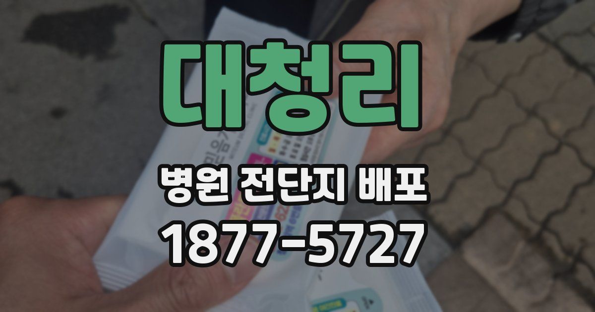 대청리 병원 전단지 배포