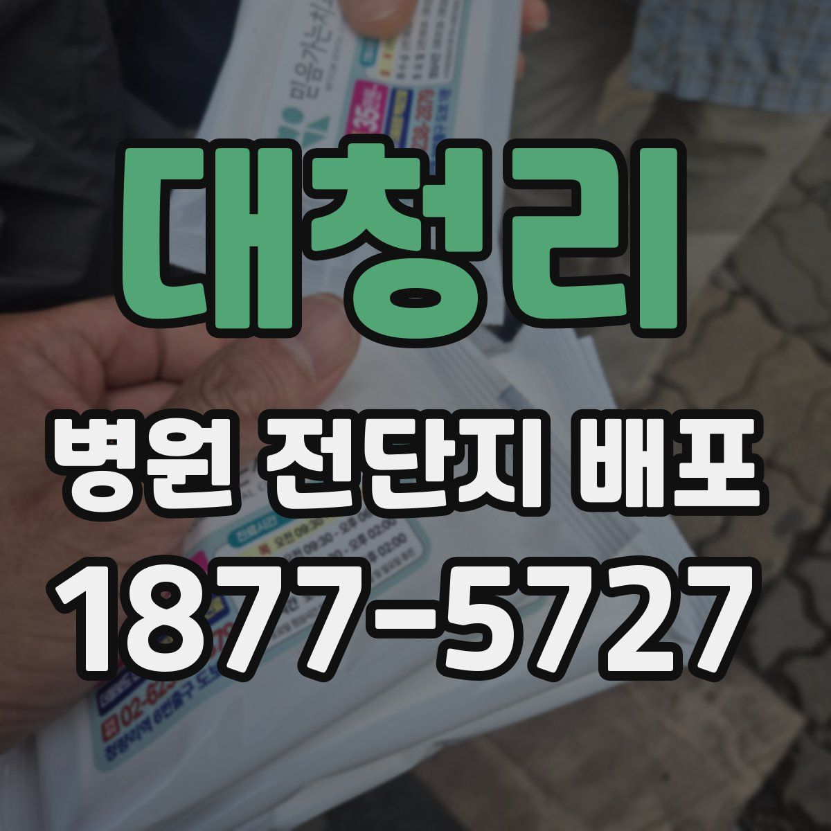 대청리 병원 전단지 배포