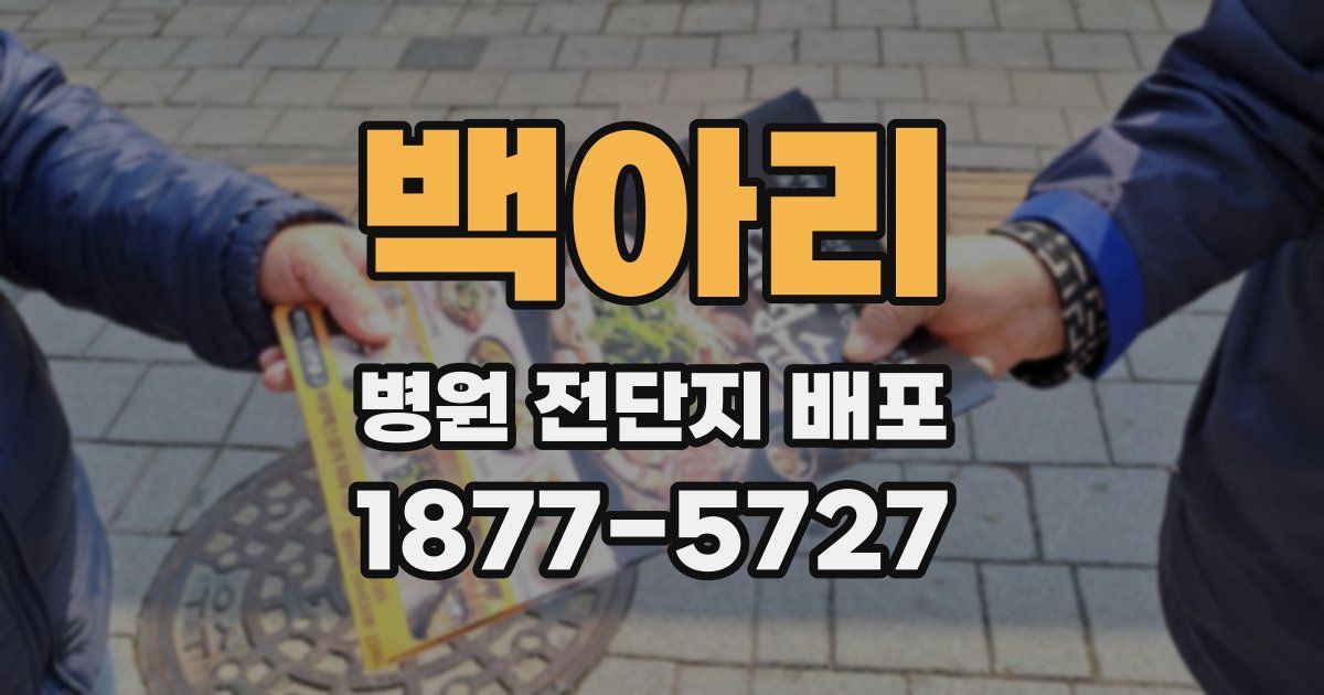 백아리 병원 전단지 배포