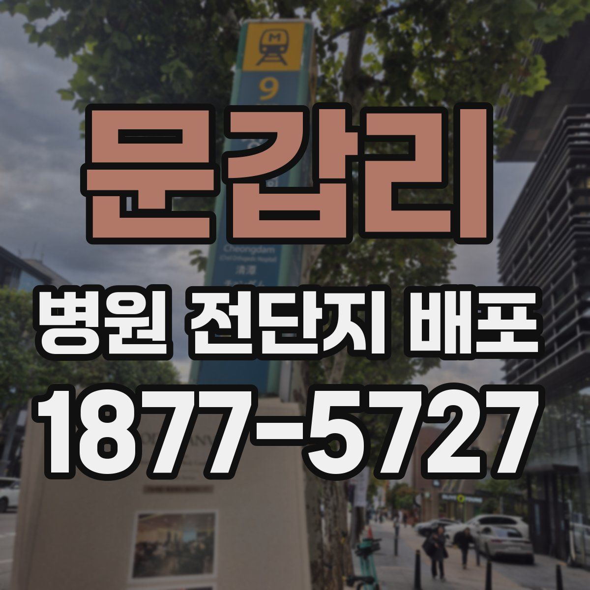 문갑리 병원 전단지 배포