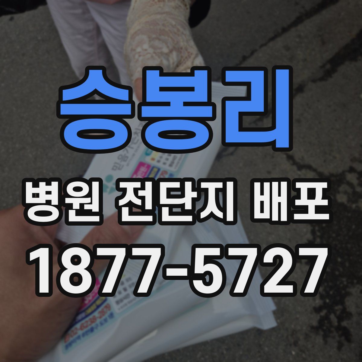 승봉리 병원 전단지 배포