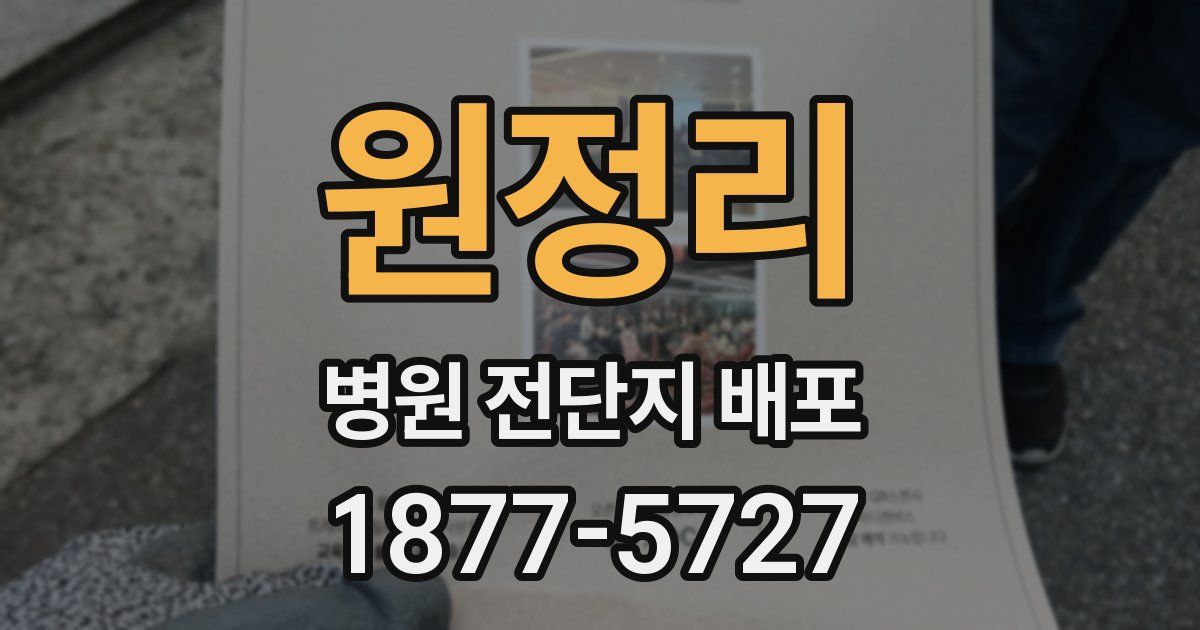 원정리 병원 전단지 배포