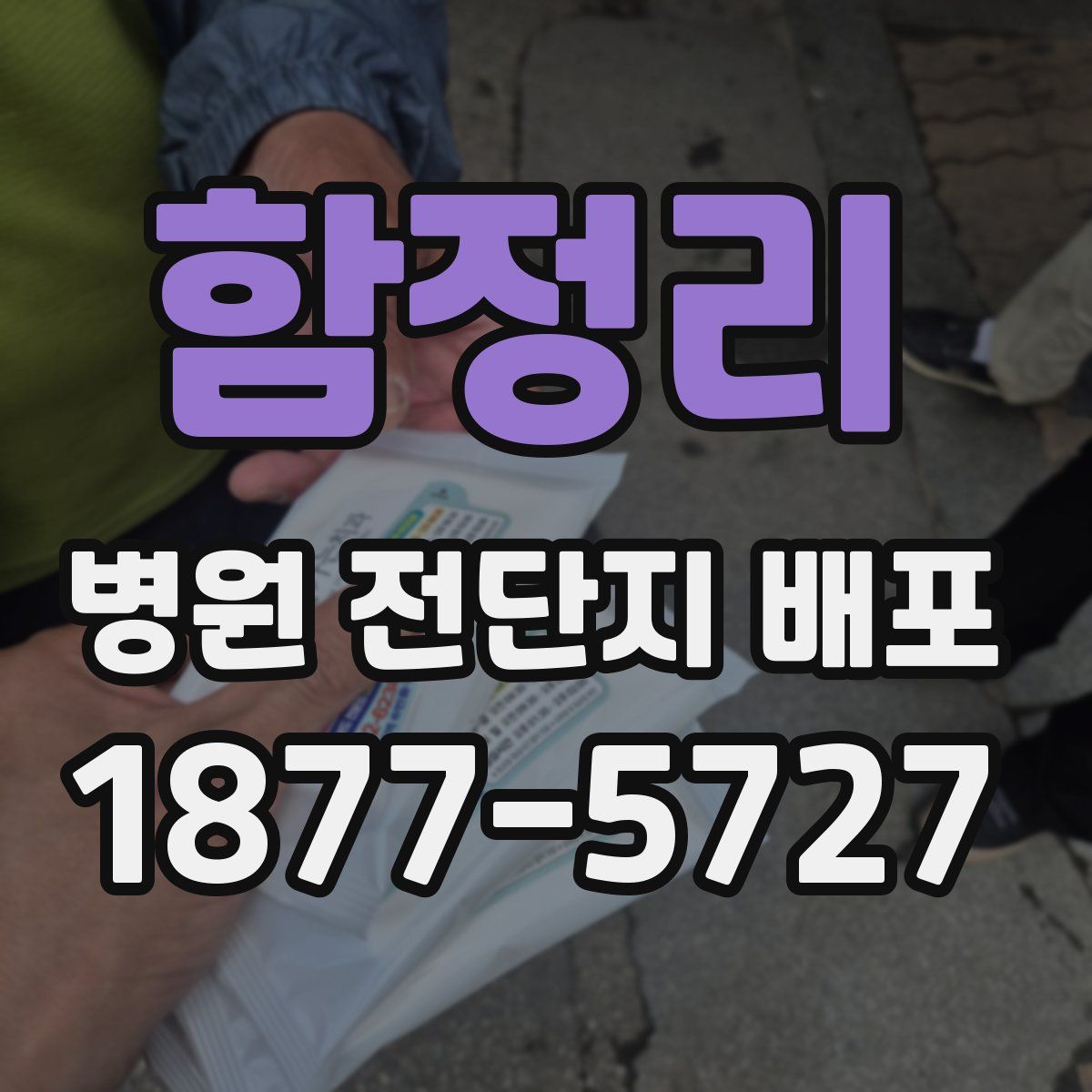 함정리 병원 전단지 배포