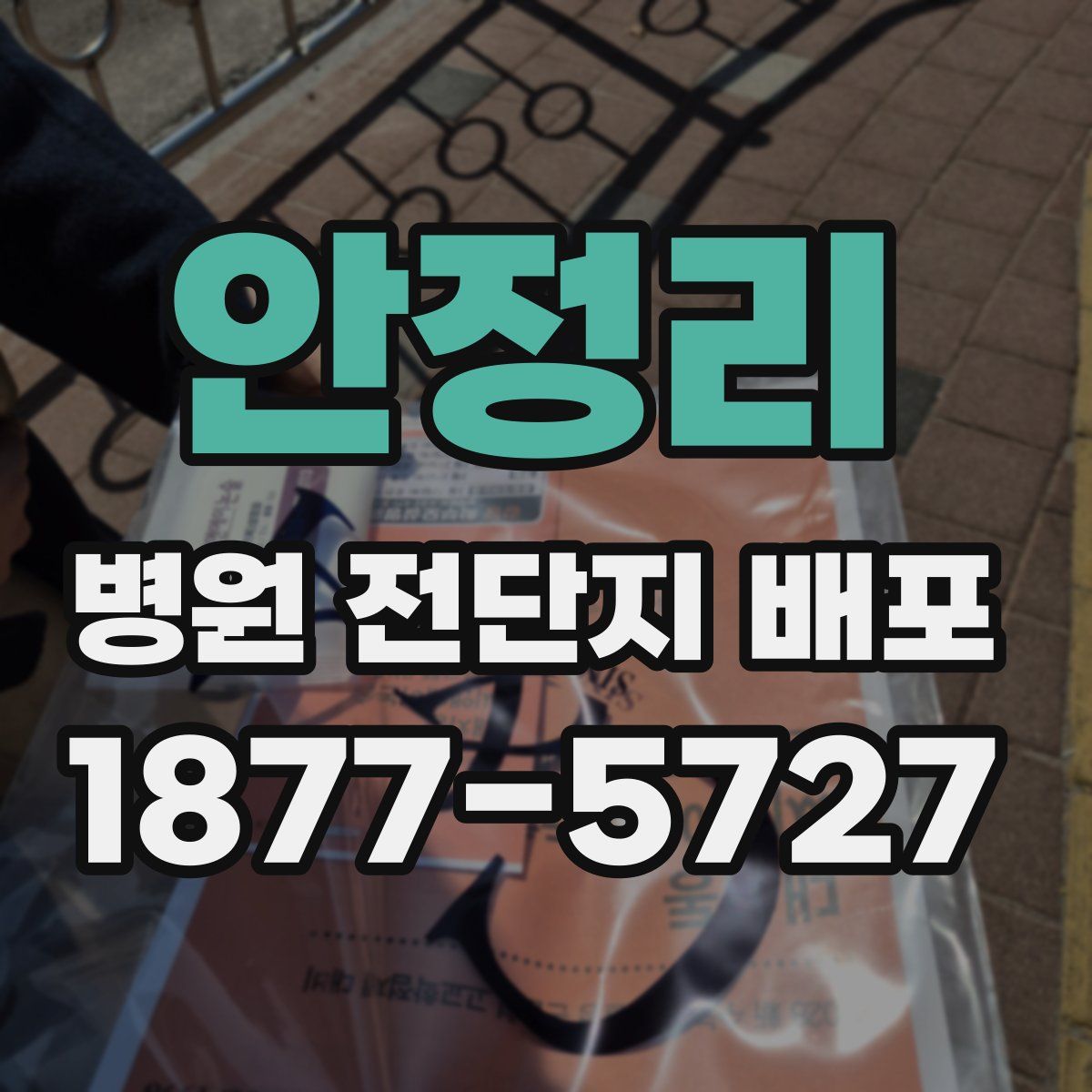 안정리 병원 전단지 배포