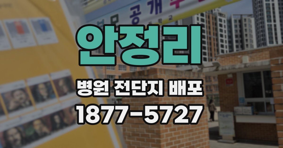 안정리 병원 전단지 배포