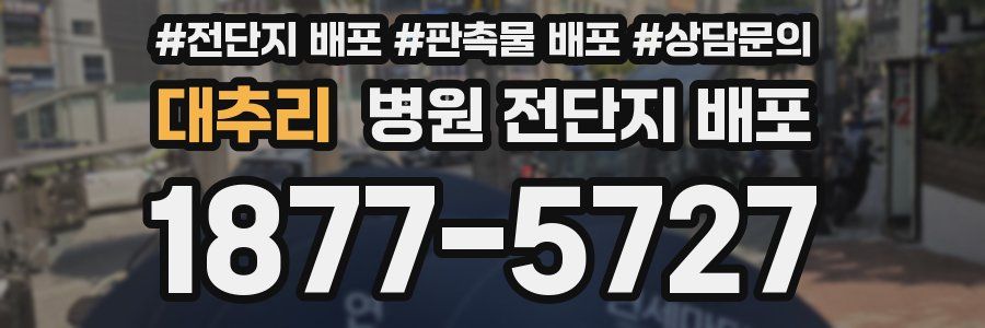 대추리 병원 전단지 배포