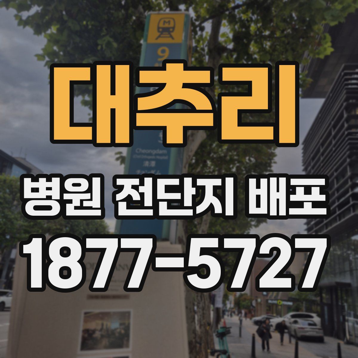 대추리 병원 전단지 배포