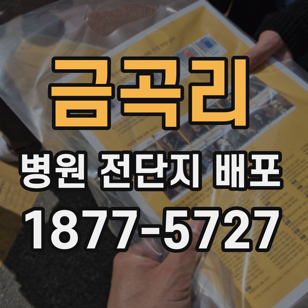 금곡리 병원 전단지 배포
