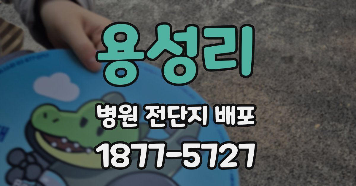 용성리 병원 전단지 배포