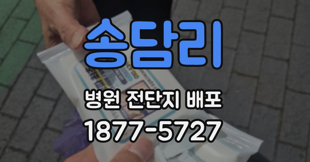 송담리 병원 전단지 배포