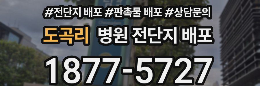 도곡리 병원 전단지 배포