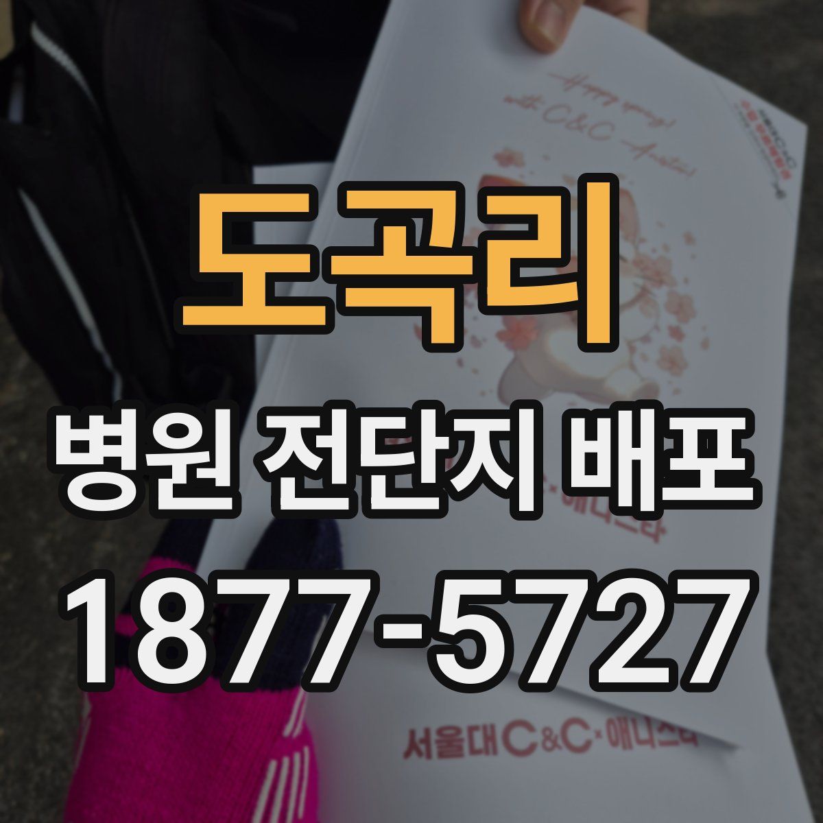 도곡리 병원 전단지 배포