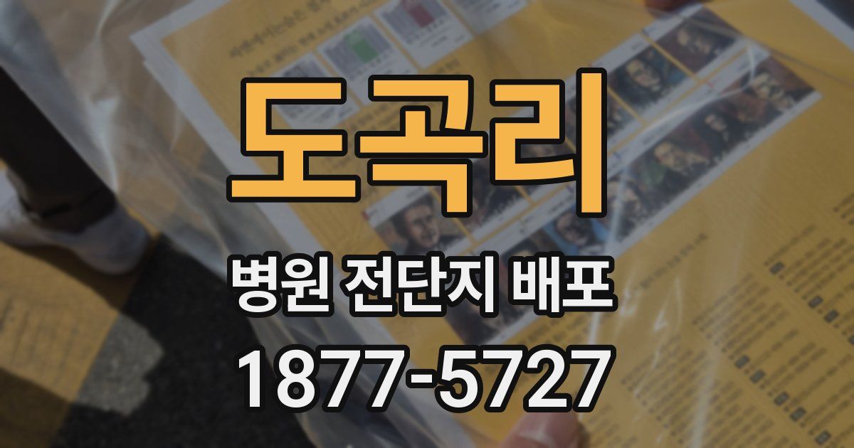도곡리 병원 전단지 배포