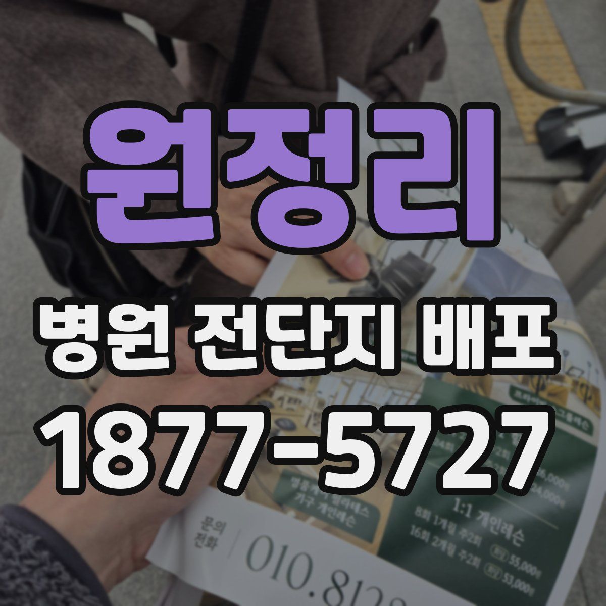 원정리 병원 전단지 배포