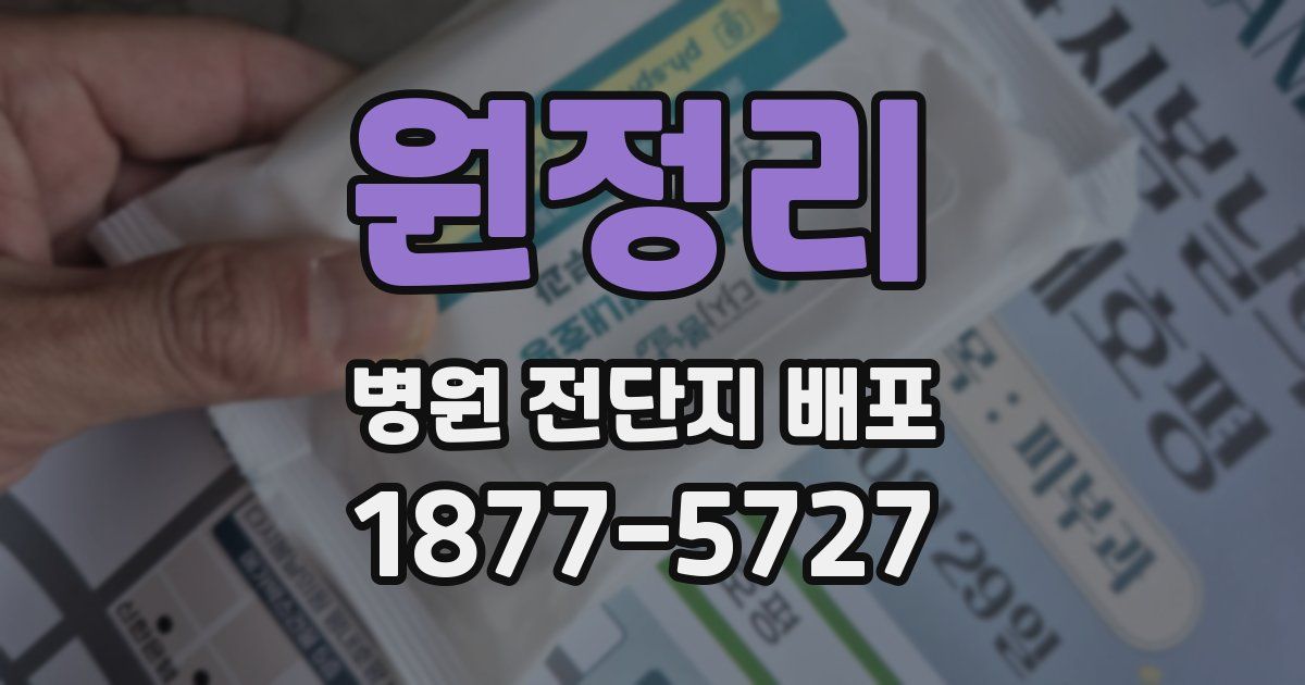 원정리 병원 전단지 배포