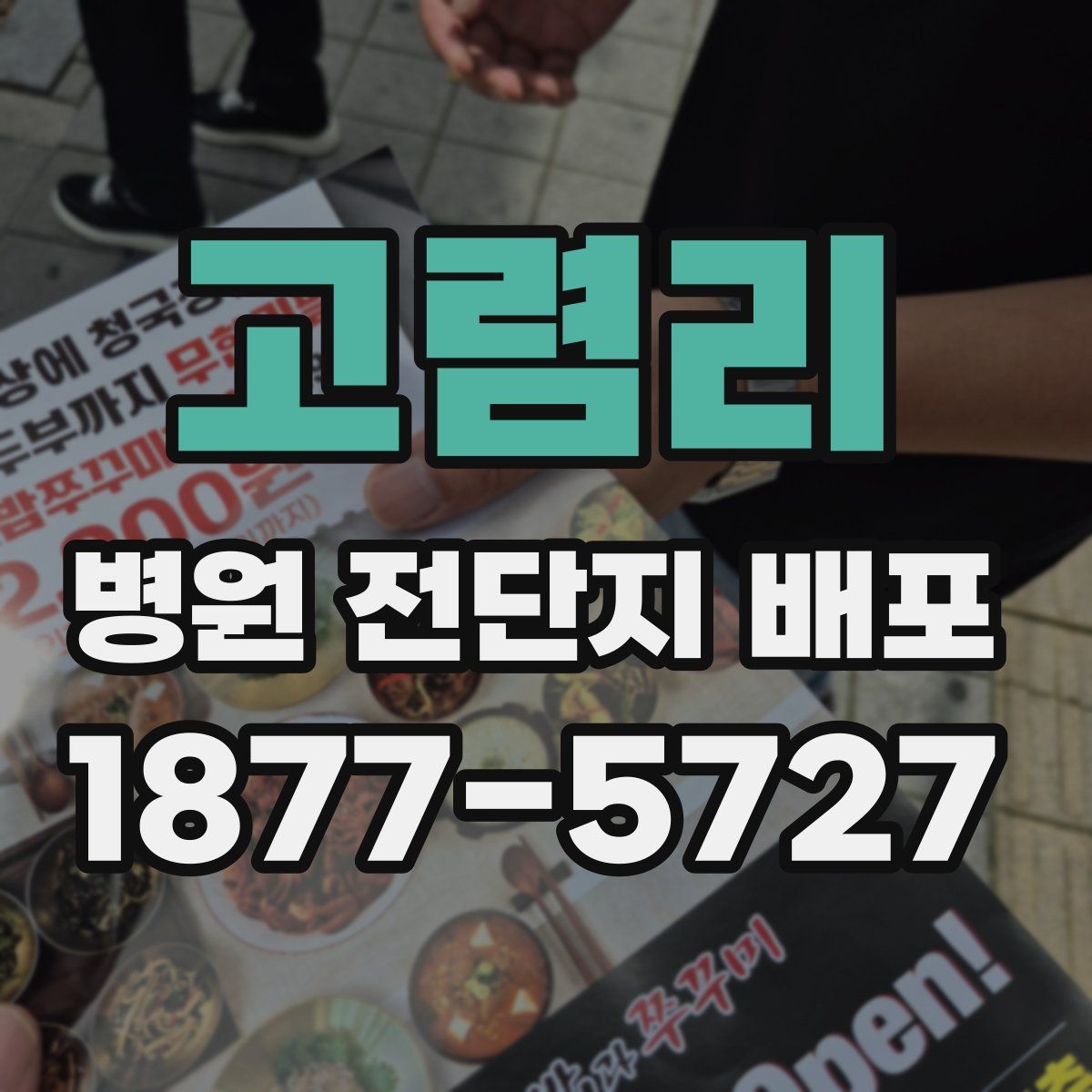 고렴리 병원 전단지 배포