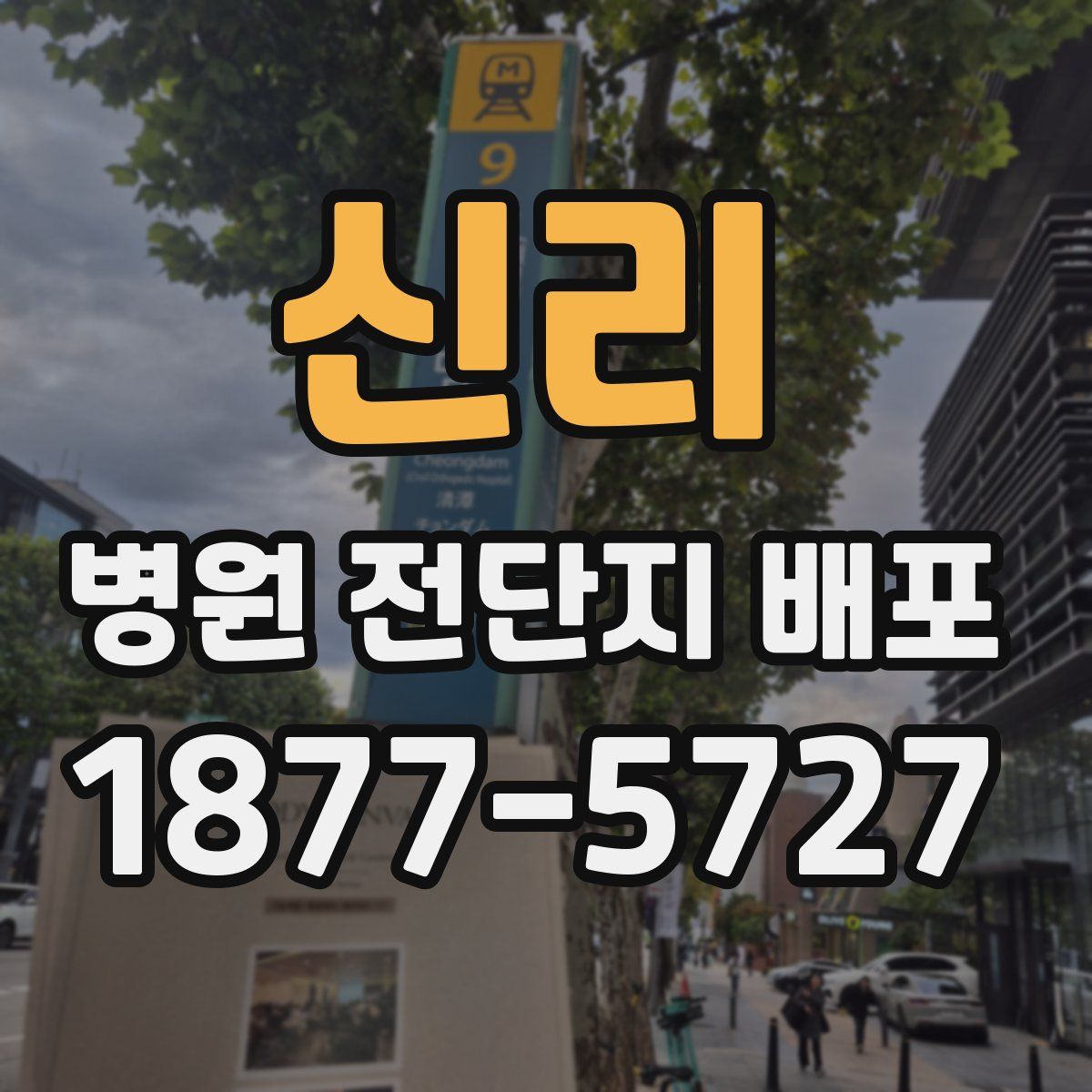 신리 병원 전단지 배포