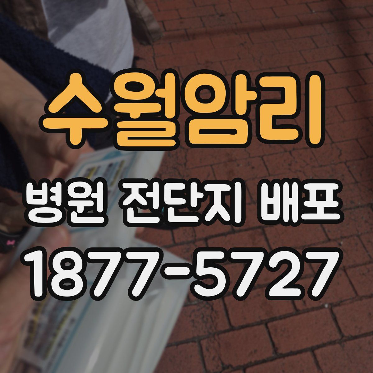 수월암리 병원 전단지 배포