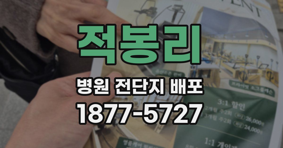 적봉리 병원 전단지 배포