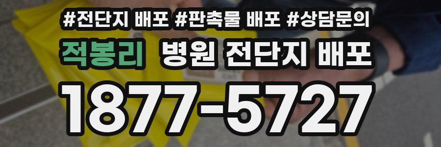 적봉리 병원 전단지 배포