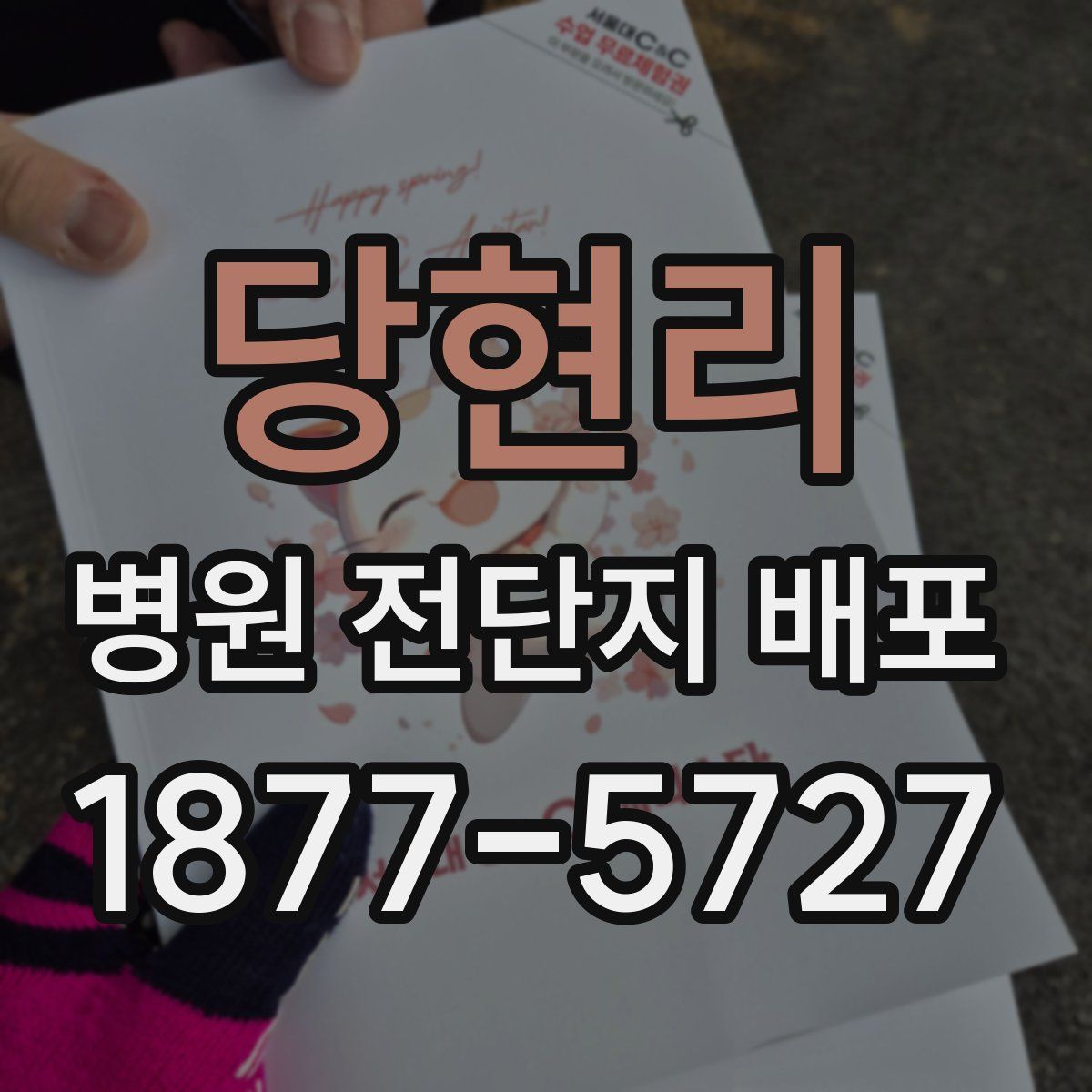 당현리 병원 전단지 배포