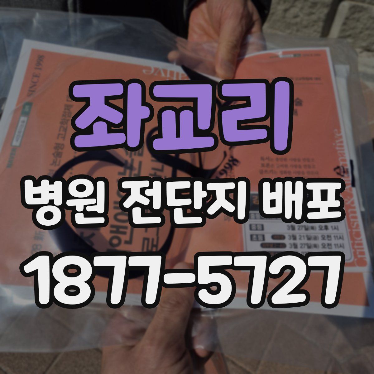좌교리 병원 전단지 배포