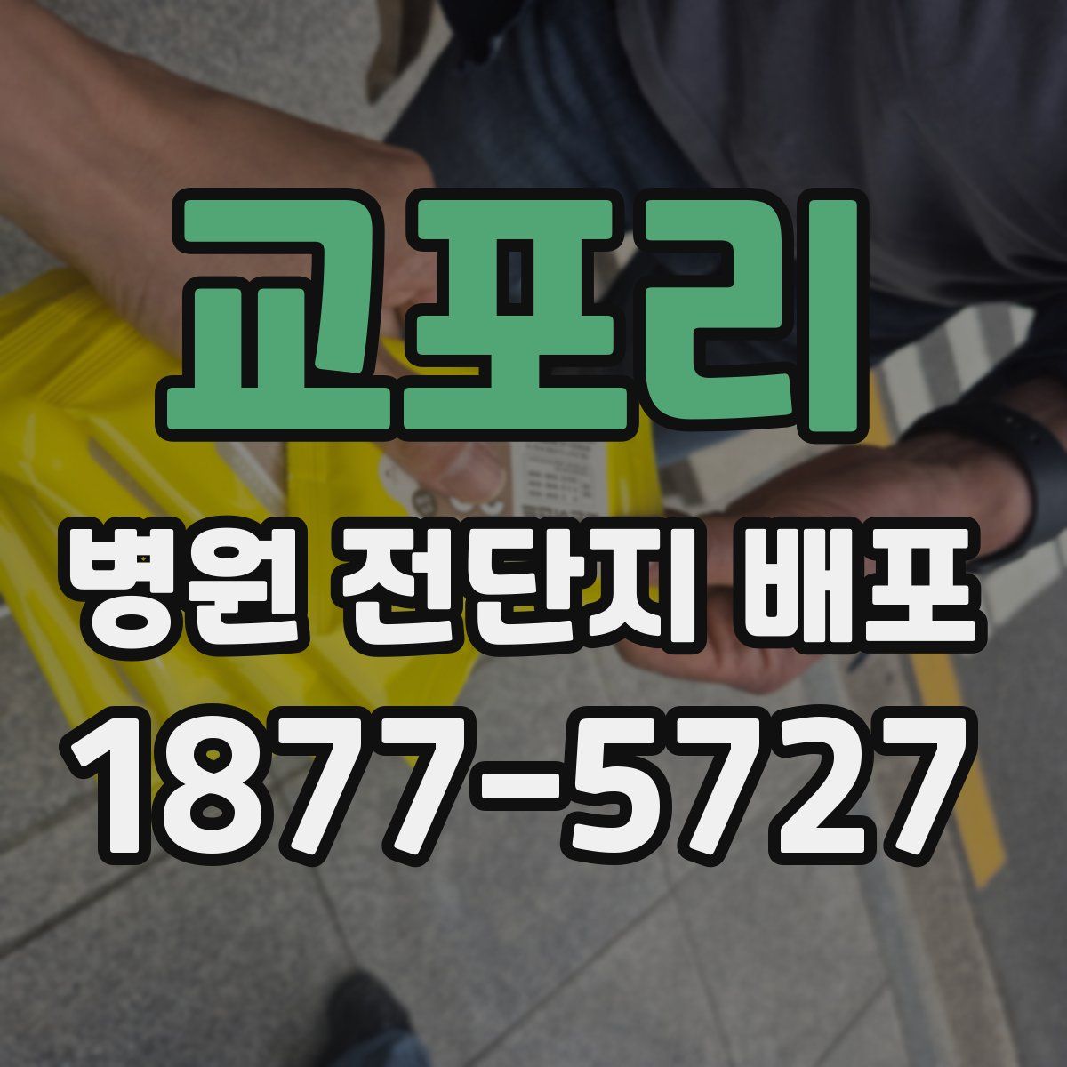 교포리 병원 전단지 배포