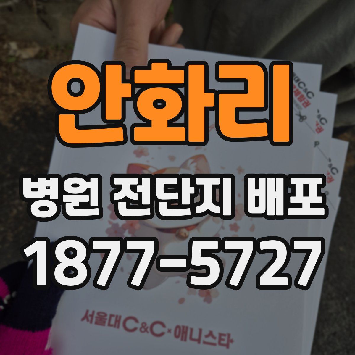 안화리 병원 전단지 배포