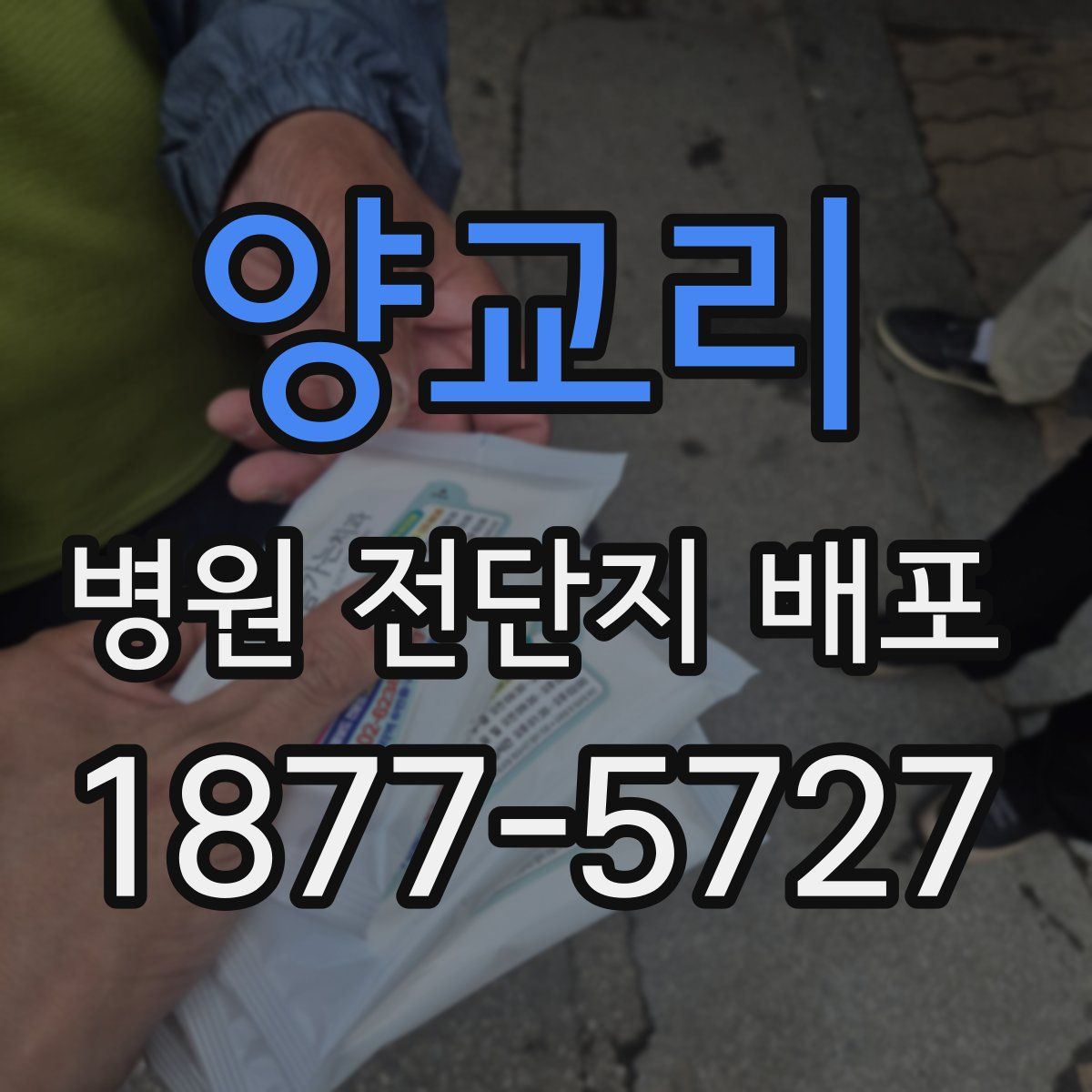 양교리 병원 전단지 배포