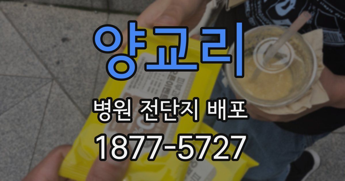 양교리 병원 전단지 배포