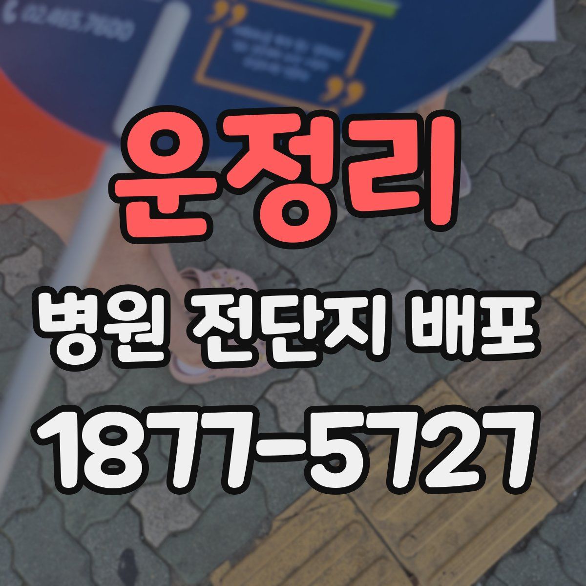 운정리 병원 전단지 배포