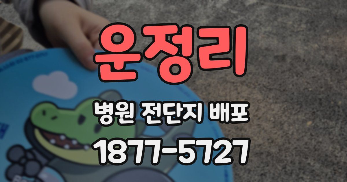 운정리 병원 전단지 배포