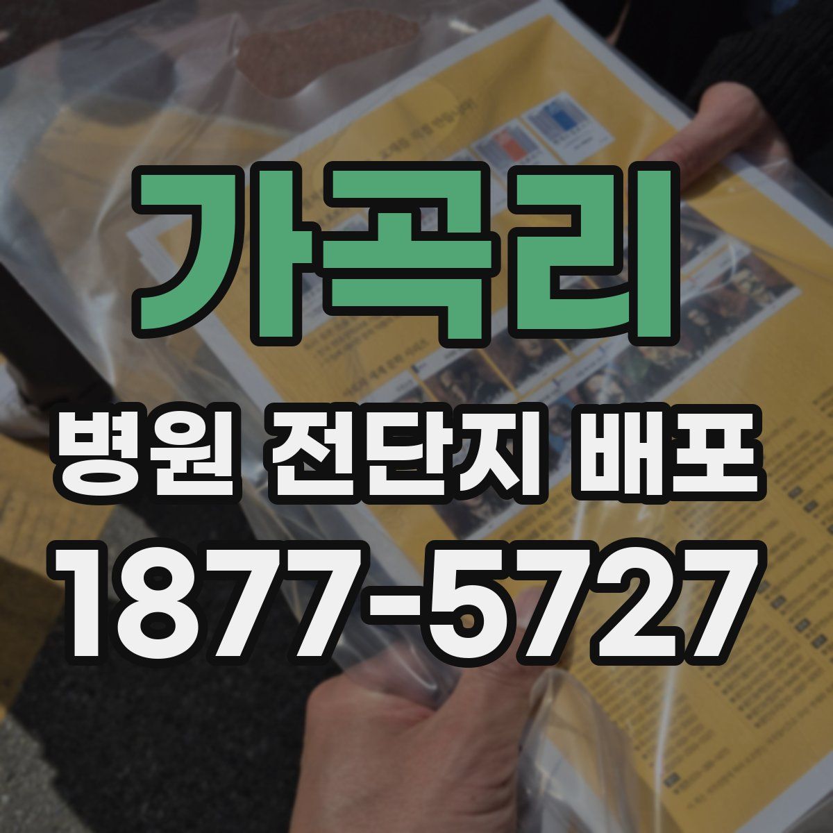 가곡리 병원 전단지 배포