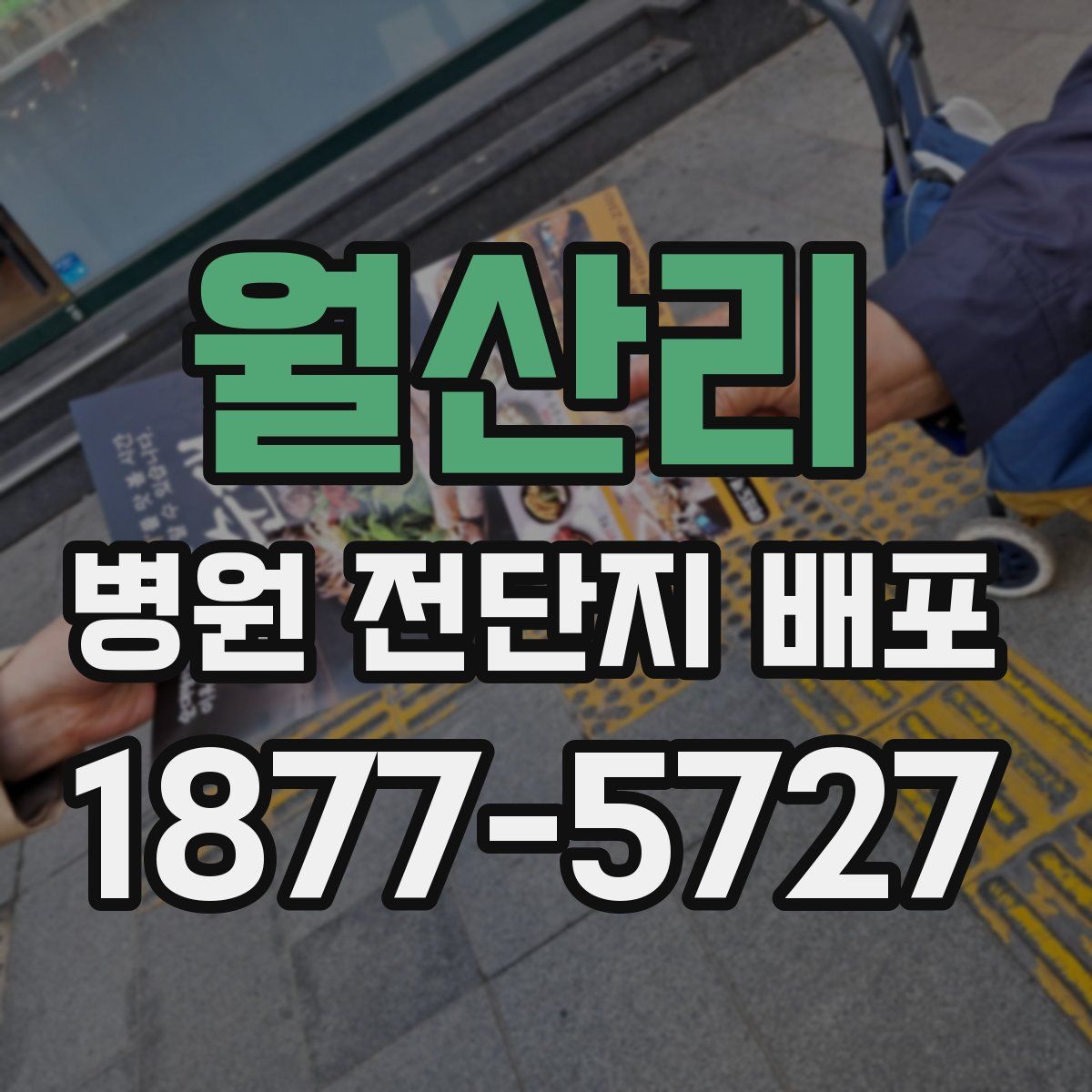 월산리 병원 전단지 배포