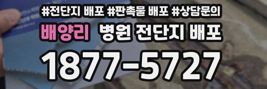 배양리 병원 전단지 배포