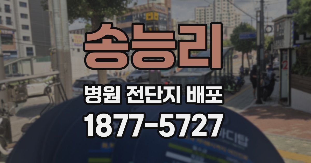 송능리 병원 전단지 배포