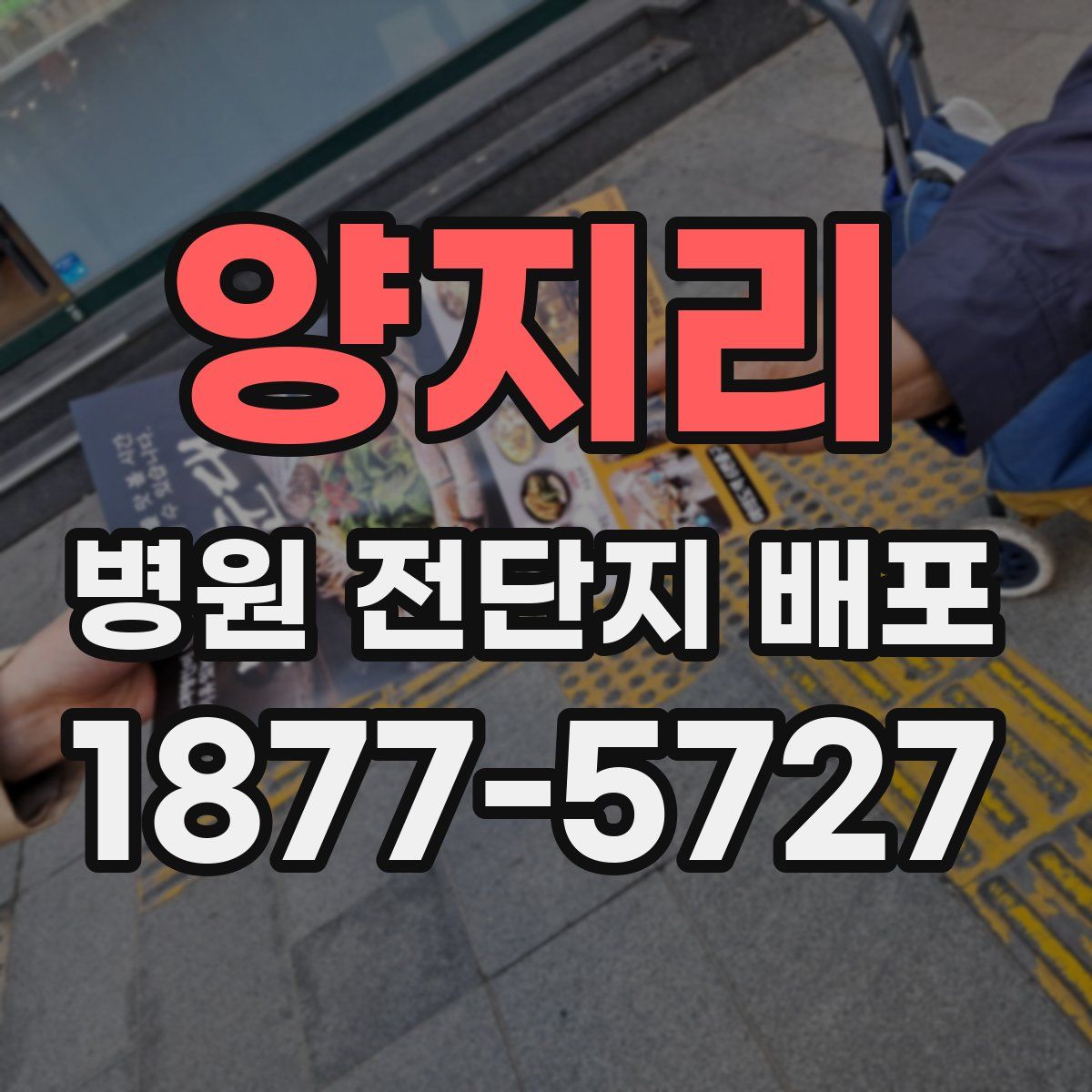 양지리 병원 전단지 배포