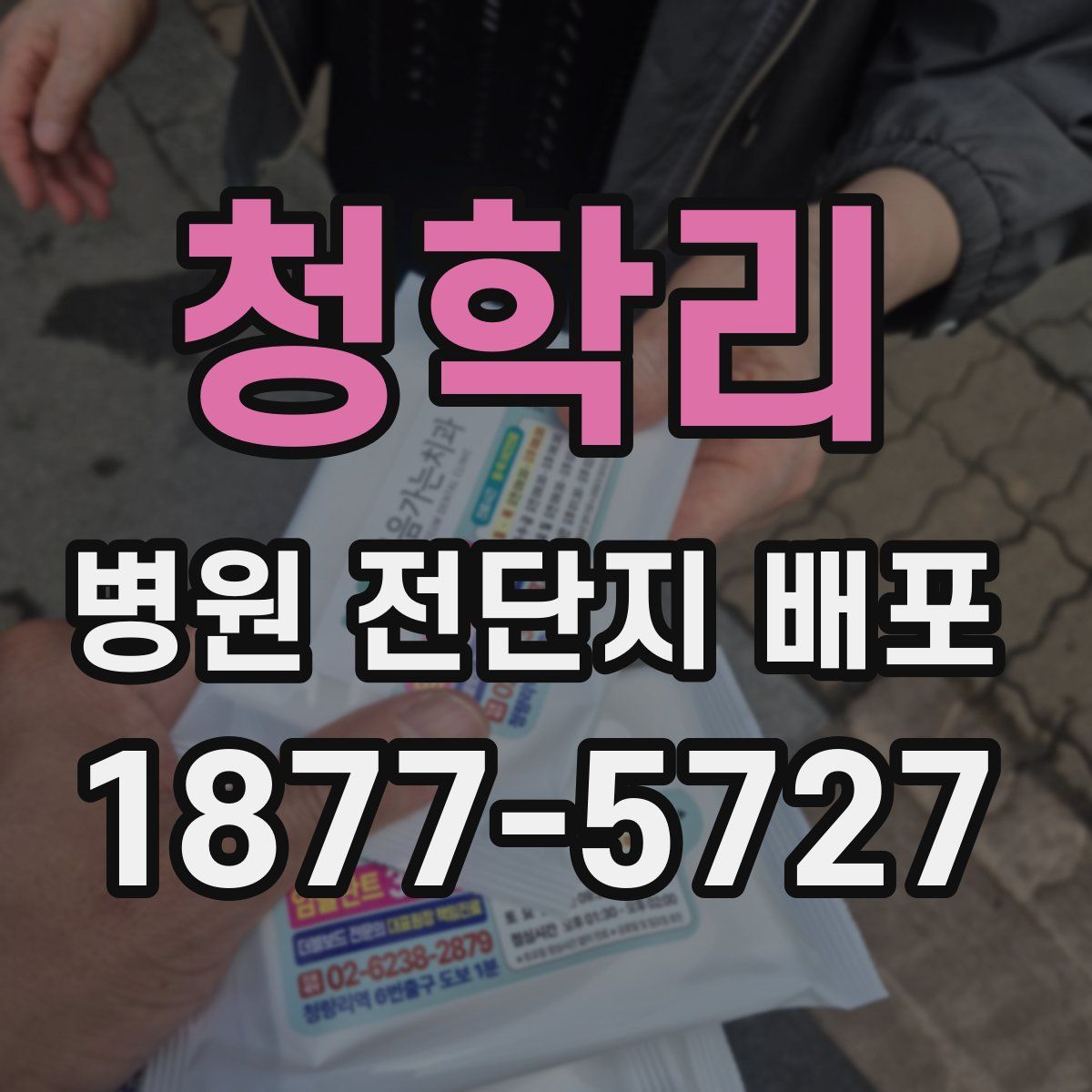 청학리 병원 전단지 배포