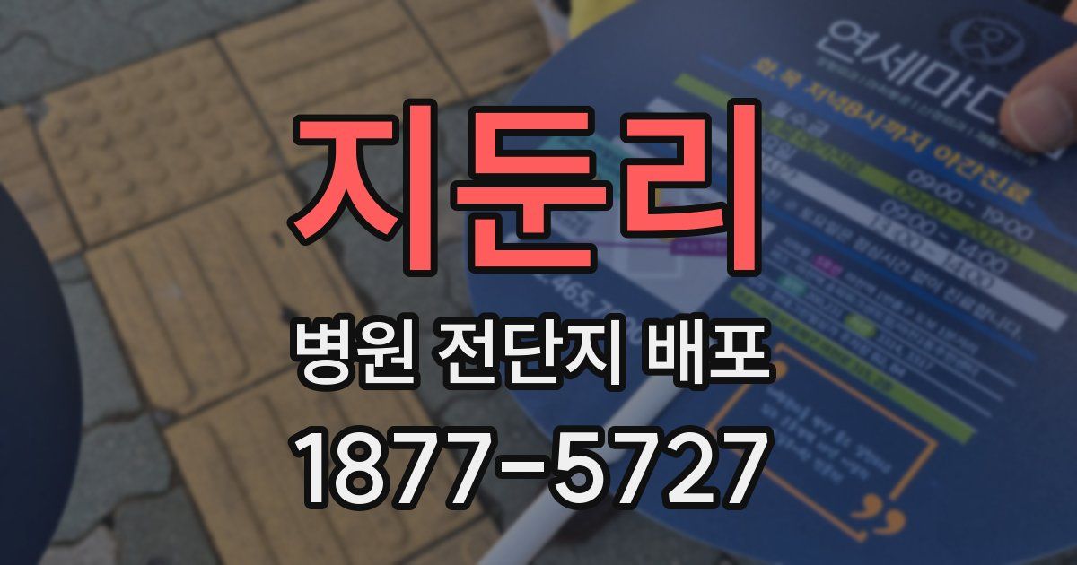 지둔리 병원 전단지 배포