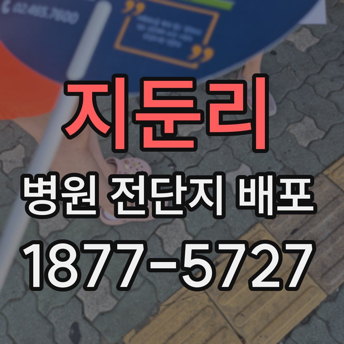 지둔리 병원 전단지 배포