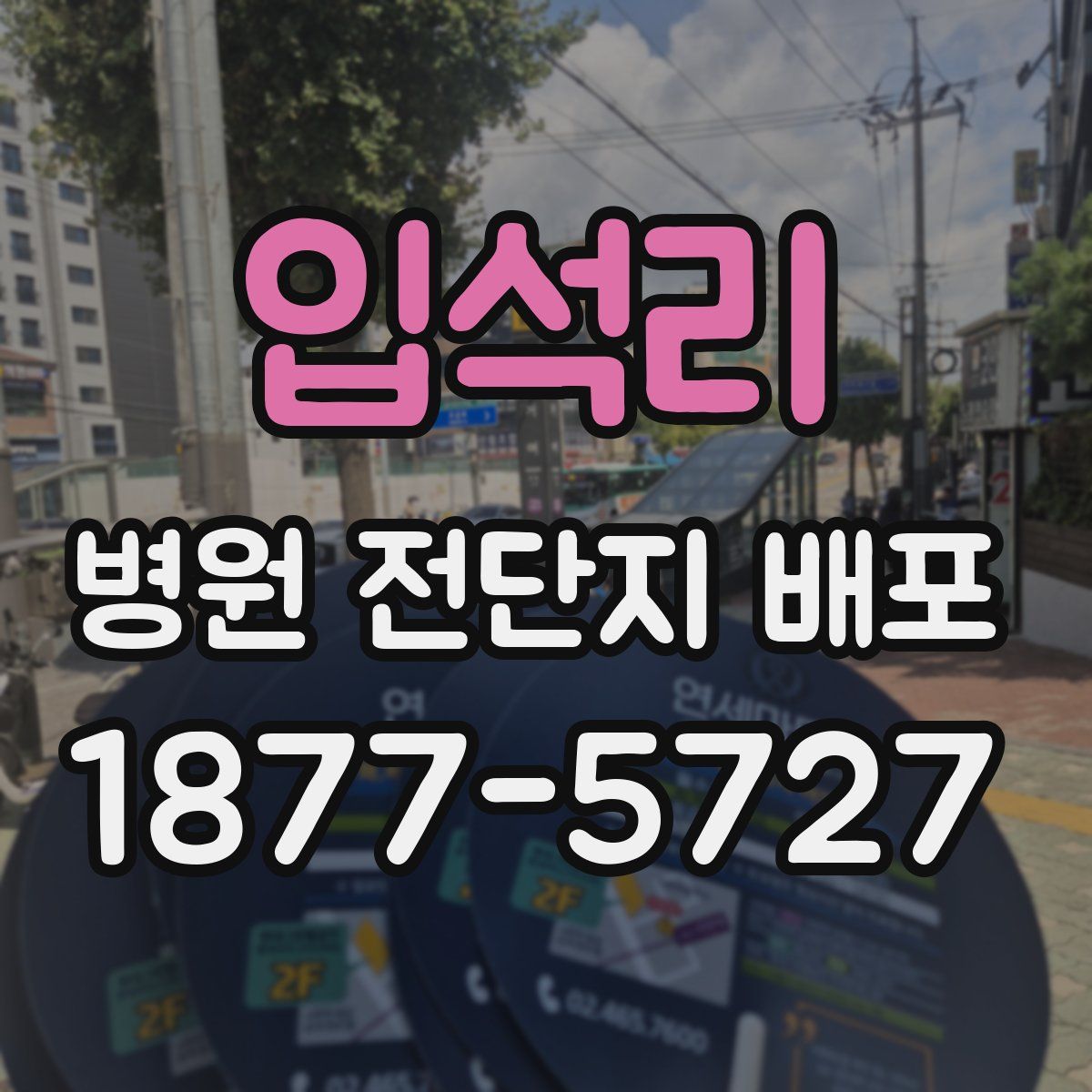입석리 병원 전단지 배포