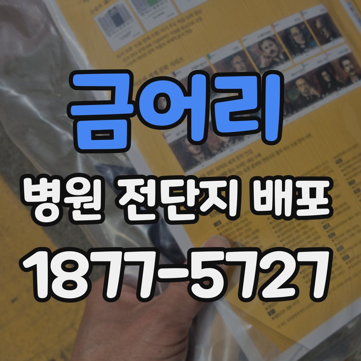 금어리 병원 전단지 배포