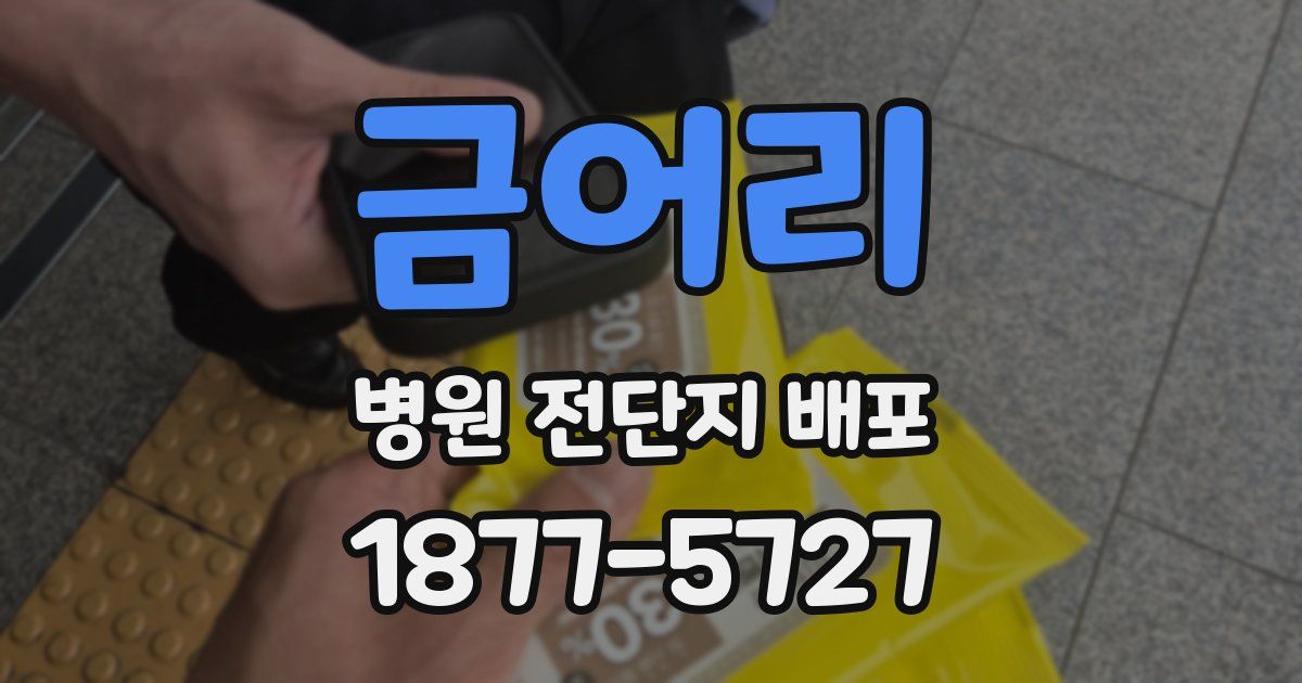 금어리 병원 전단지 배포