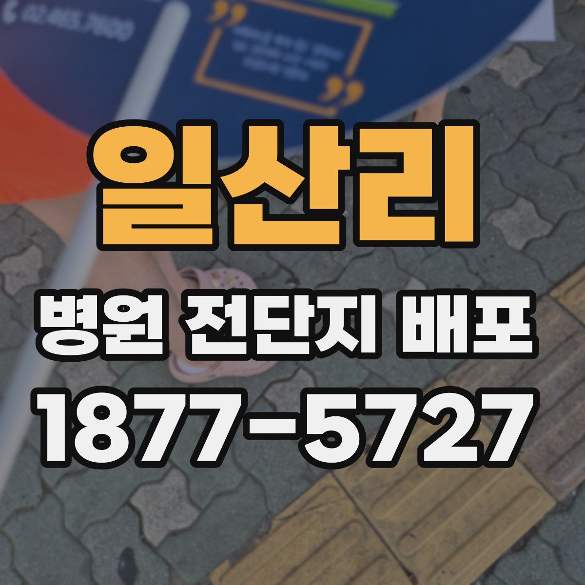 일산리 병원 전단지 배포