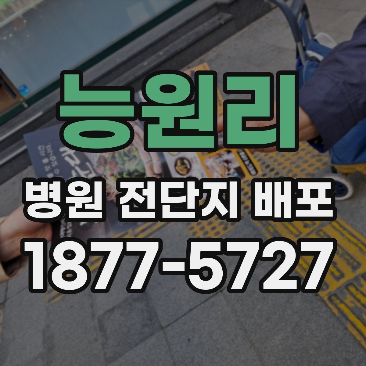 능원리 병원 전단지 배포